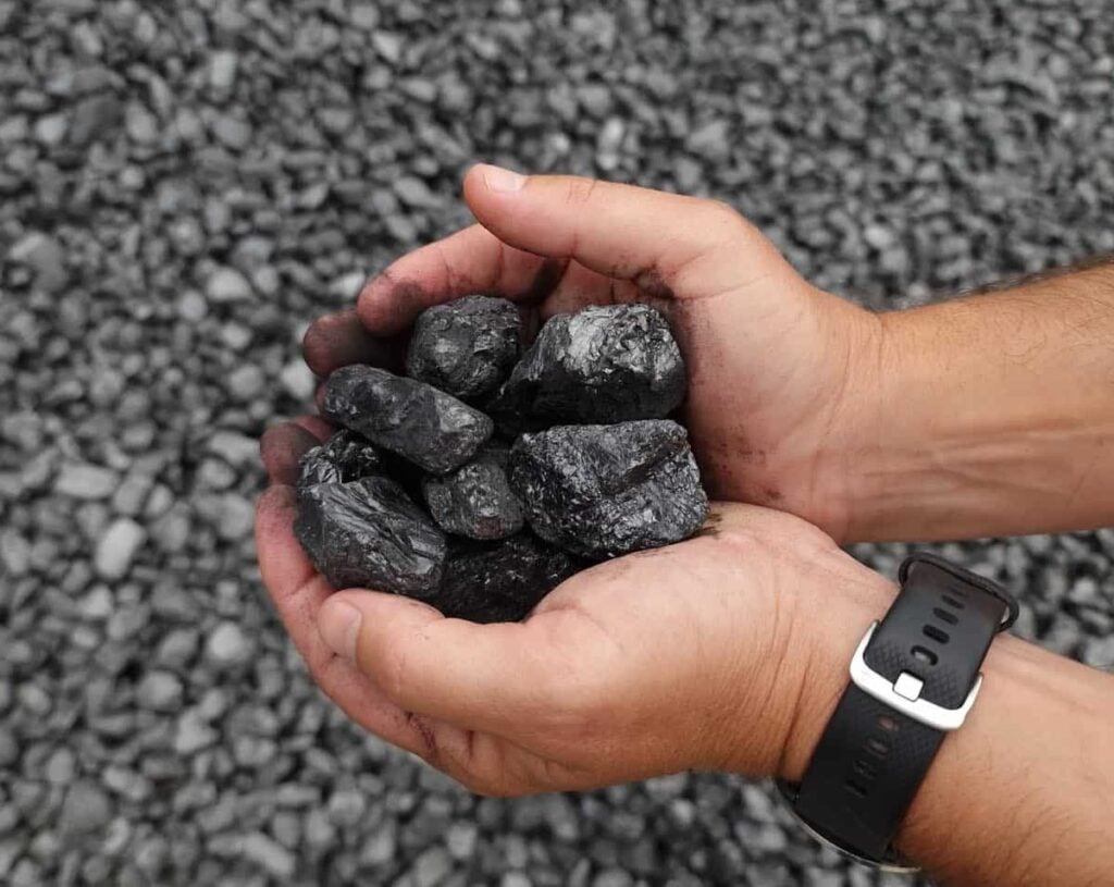 Charles Swann Coal: Shopfiy Website by Redback Creations