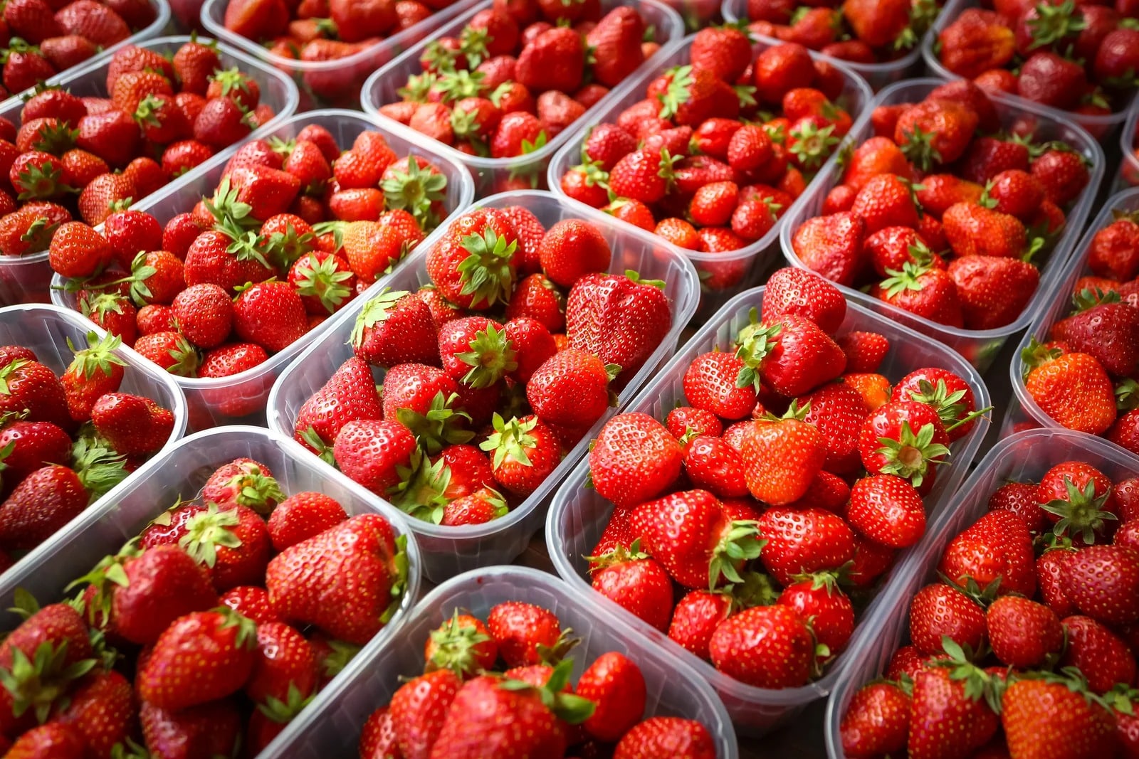 imgi 58 bigstock Fresh Strawberries Packaging I 307881139 | Manufacturing | Redback Creations