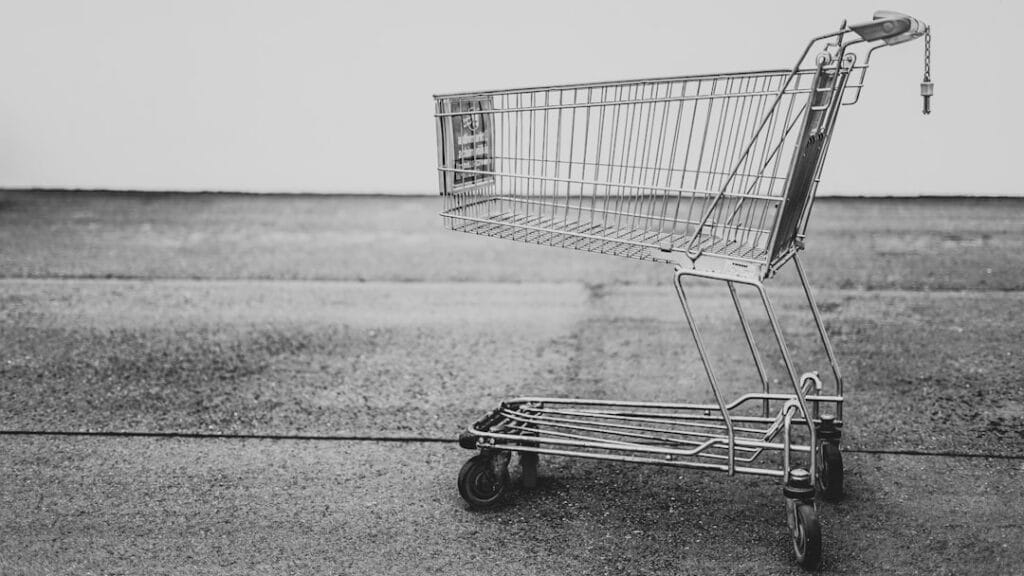 Shopify abandoned cart
